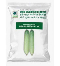 Cucumber Indo US Megha 25 grams